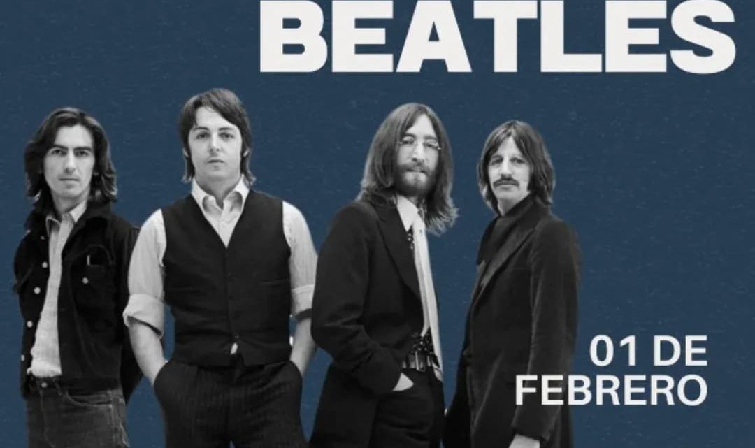 Day Tripper en Loncoche