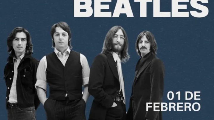 Day Tripper en Loncoche