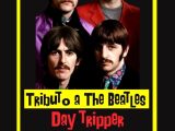 Day Tripper llega a San José de la Mariquina con una noche imperdible de clásicos de The Beatles